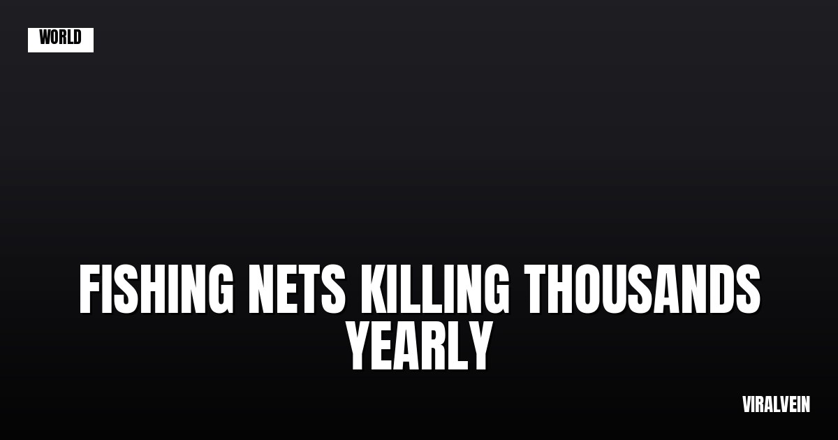 Fishing nets are killing thousands of Britain's whales and dolphins every year