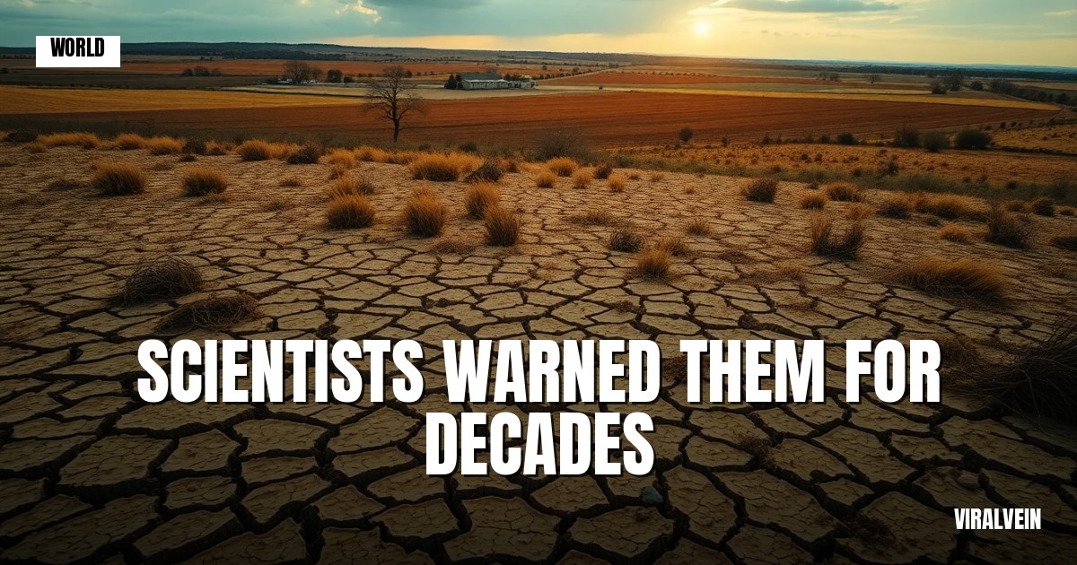 Europe's heat crisis was predicted years ago. So why are politicians still acting shocked?